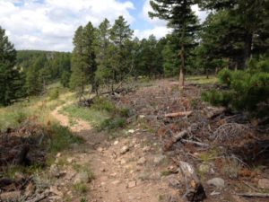 Image of Winiger Ridge Trail Mitigated