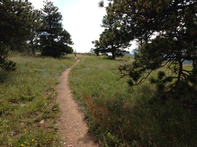 Winiger Ridge Trail Unmitigated